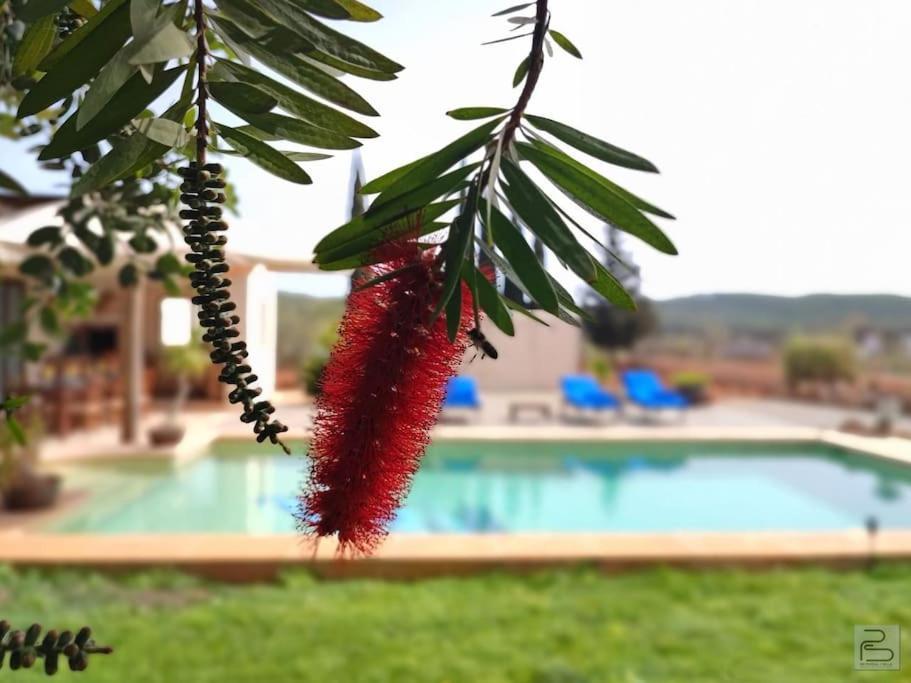 Casa Bet Con Piscina Y Jardin. Hébergement de vacances Sant Miquel de Balansat
