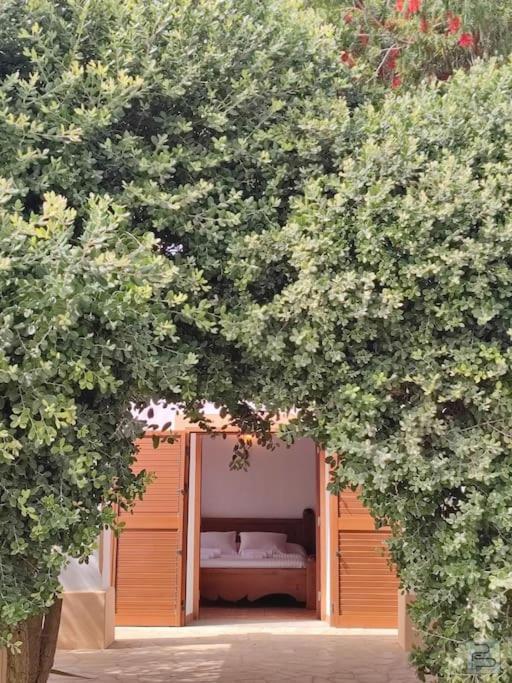 Holiday home Casa Bet Con Piscina Y Jardin.